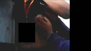 Ханаж ханадаггүй хөхтэй шаргал үст хоёр том тахиа авдаг